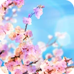 spring wallpapers 4k android application logo